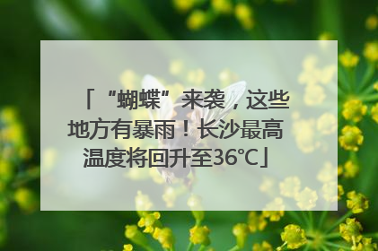 “蝴蝶”来袭，这些地方有暴雨！长沙最高温度将回升至36℃