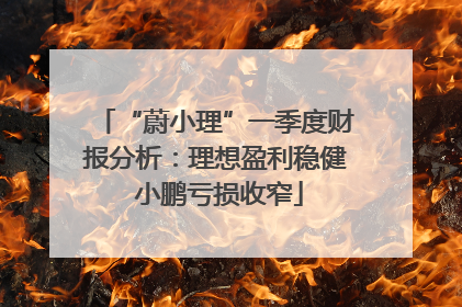 “蔚小理”一季度财报分析：理想盈利稳健 小鹏亏损收窄