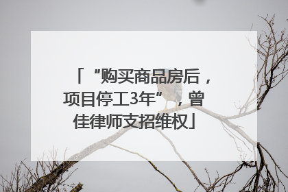 “购买商品房后，项目停工3年”，曾佳律师支招维权
