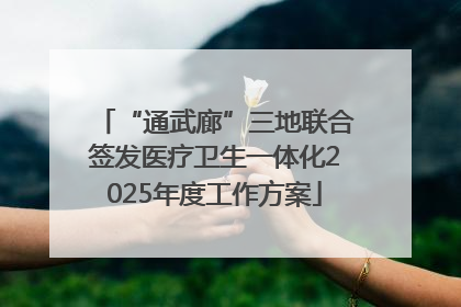 “通武廊”三地联合签发医疗卫生一体化2025年度工作方案