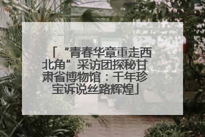 “青春华章重走西北角”采访团探秘甘肃省博物馆：千年珍宝诉说丝路辉煌