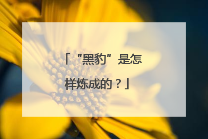 “黑豹”是怎样炼成的？
