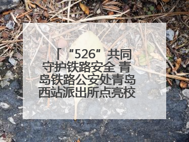“526”共同守护铁路安全 青岛铁路公安处青岛西站派出所点亮校园爱路之光