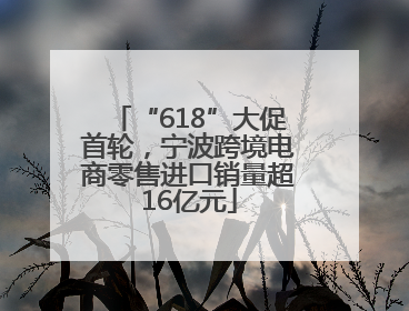 “618”大促首轮，宁波跨境电商零售进口销量超16亿元