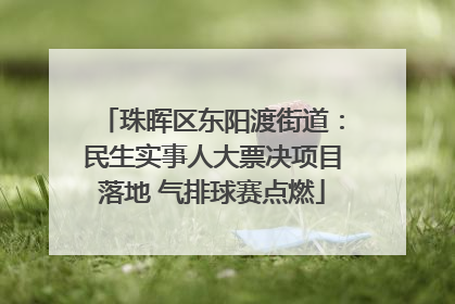 珠晖区东阳渡街道：民生实事人大票决项目落地 气排球赛点燃