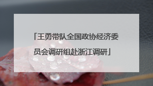 王勇带队全国政协经济委员会调研组赴浙江调研