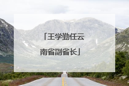 王学勤任云南省副省长