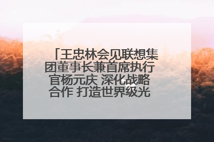 王忠林会见联想集团董事长兼首席执行官杨元庆 深化战略合作 打造世界级光电子信息产业集群