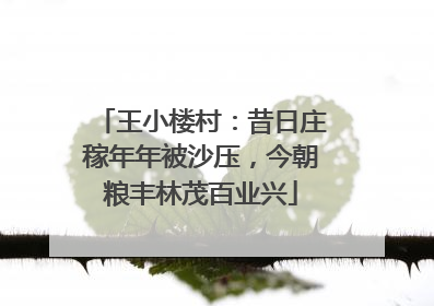王小楼村：昔日庄稼年年被沙压，今朝粮丰林茂百业兴