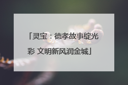 灵宝：德孝故事绽光彩 文明新风润金城