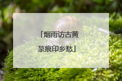 烟雨访古黄 篆痕印乡愁