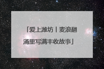 爱上潍坊丨麦浪翻涌里写满丰收故事