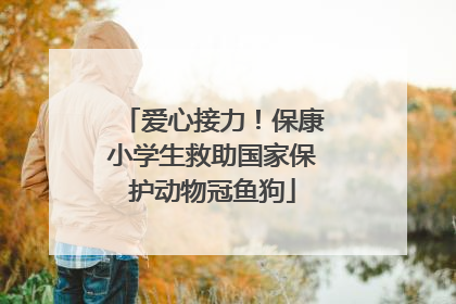 爱心接力！保康小学生救助国家保护动物冠鱼狗