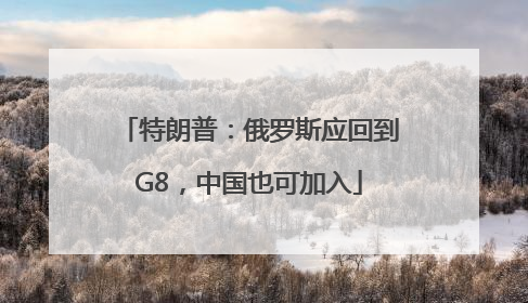 特朗普：俄罗斯应回到G8，中国也可加入