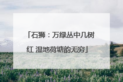 石狮：万绿丛中几树红 湿地荷塘韵无穷