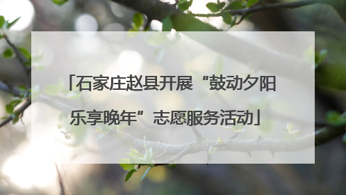 石家庄赵县开展“鼓动夕阳 乐享晚年”志愿服务活动