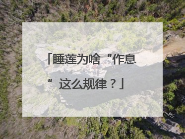 睡莲为啥“作息”这么规律？