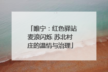 睢宁：红色驿站麦浪闪烁 苏北村庄的温情与治理