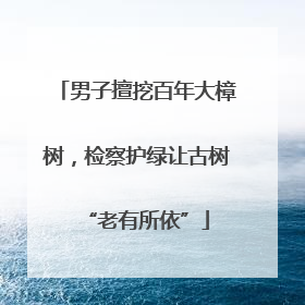 男子擅挖百年大樟树，检察护绿让古树“老有所依”