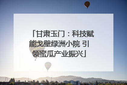 甘肃玉门：科技赋能戈壁绿洲小院 引领蜜瓜产业振兴