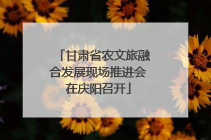 甘肃省农文旅融合发展现场推进会在庆阳召开