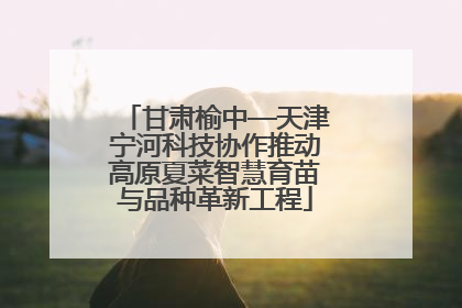 甘肃榆中—天津宁河科技协作推动高原夏菜智慧育苗与品种革新工程