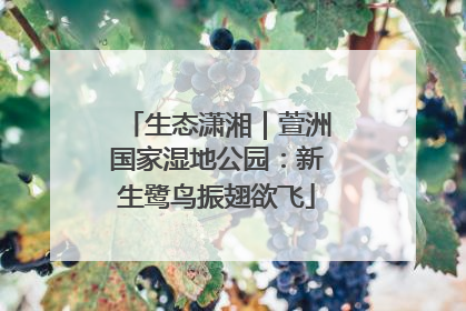 生态潇湘｜萱洲国家湿地公园：新生鹭鸟振翅欲飞