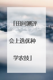 田间测评会上选优种学农技