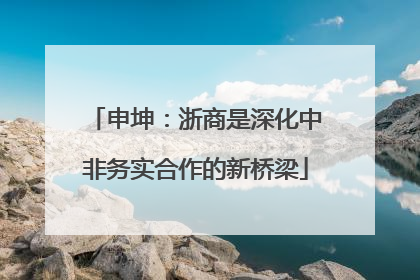 申坤：浙商是深化中非务实合作的新桥梁