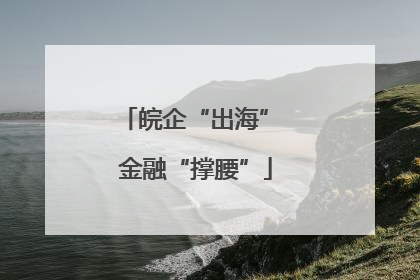 皖企“出海” 金融“撑腰”