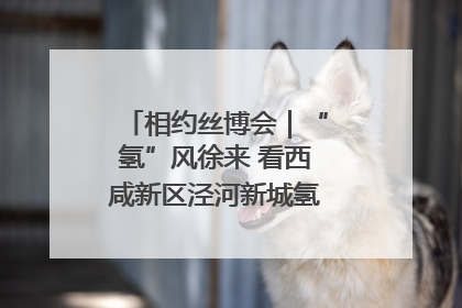 相约丝博会｜“氢”风徐来 看西咸新区泾河新城氢能产业聚链成势