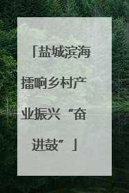 盐城滨海擂响乡村产业振兴“奋进鼓”
