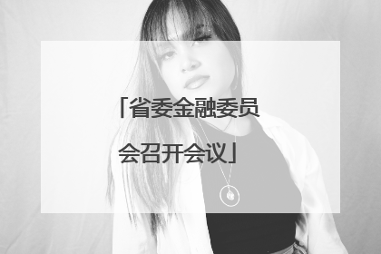 省委金融委员会召开会议
