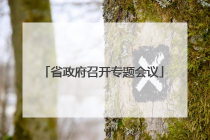 省政府召开专题会议