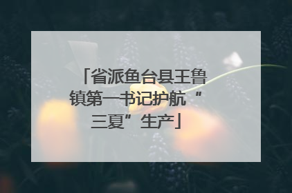 省派鱼台县王鲁镇第一书记护航“三夏”生产