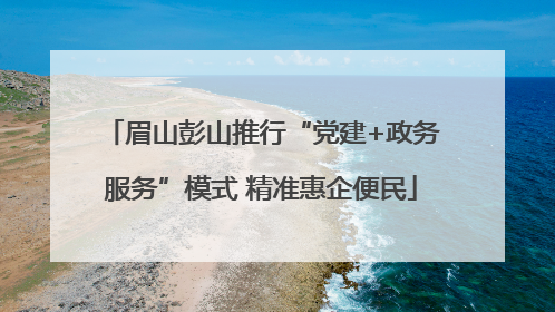 眉山彭山推行“党建+政务服务”模式 精准惠企便民