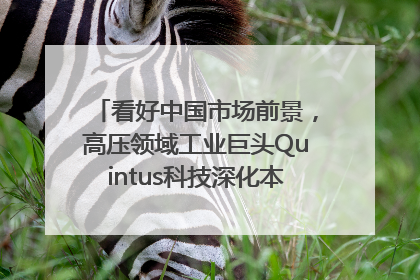 看好中国市场前景，高压领域工业巨头Quintus科技深化本土策略，构建全方位服务亚太区总部