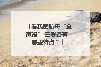 看我国航母“全家福” 三舰各有哪些特点？