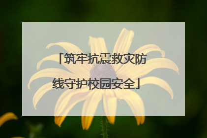 筑牢抗震救灾防线守护校园安全