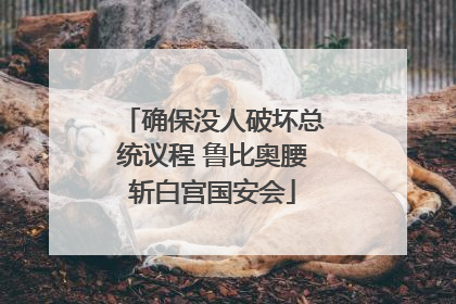 确保没人破坏总统议程 鲁比奥腰斩白宫国安会