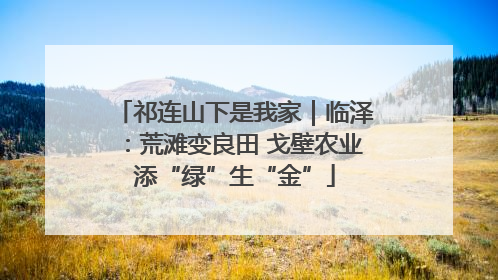 祁连山下是我家｜临泽：荒滩变良田 戈壁农业添“绿”生“金”