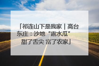 祁连山下是我家｜高台东庄：沙地“露水瓜” 甜了舌尖 富了农家