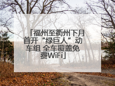 福州至衢州下月首开“绿巨人”动车组 全车覆盖免费WiFi