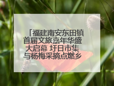 福建南安东田镇首届文旅嘉年华盛大启幕 圩日市集与杨梅采摘点燃乡村振兴新动能