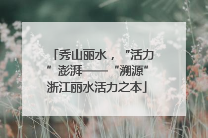 秀山丽水，“活力”澎湃——“溯源”浙江丽水活力之本
