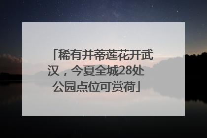 稀有并蒂莲花开武汉，今夏全城28处公园点位可赏荷