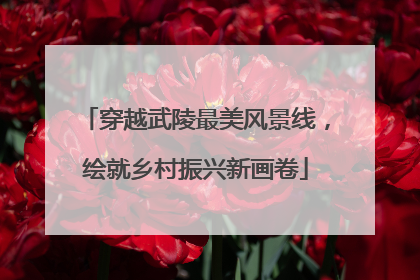 穿越武陵最美风景线，绘就乡村振兴新画卷
