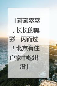 窸窸窣窣，长长的黑影一闪而过！北京有住户家中蛇出没