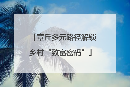 章丘多元路径解锁乡村“致富密码”