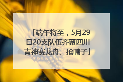 端午将至，5月29日20支队伍齐聚四川青神赛龙舟、抢鸭子